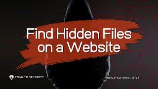 How do Discover Hidden Directories & Subdomains | Gobuster Tutorial