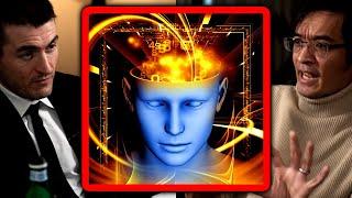 Mathematician explains limits of the human mind | Terence Tao and Lex Fridman