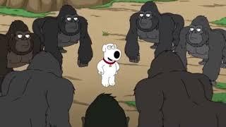 Family guy: Brian got scammed by gorillas