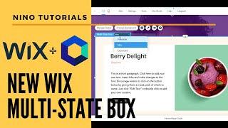 Wix Multi State Box - Nino Web Tutorials - Wix Tutorial