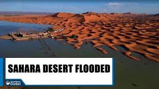 Sahara Desert Sees First Flooding In 50 Years After Heavy Rain In Morocco