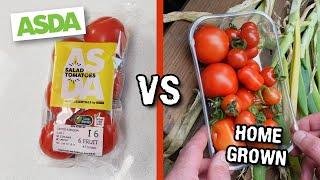 Supermarket VS home grown tomatoes