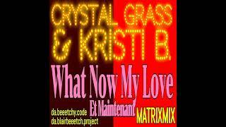 What Now My Love - C.G. & Kristi B. da.beeetchy.code da.blairbeeetch.project Matrixmix.