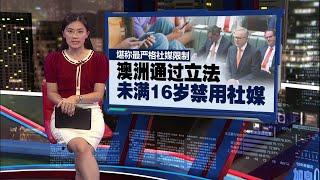 澳洲通过立法   未满16岁禁用社媒 | 新闻报报看 29/11/2024