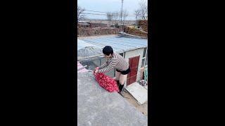 #Favorite Incentive Program#funny rural videos#countryside humor