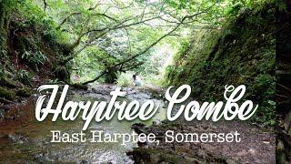 Harptree Combe | Viaduct, Brook and Ruins | HD 1080p