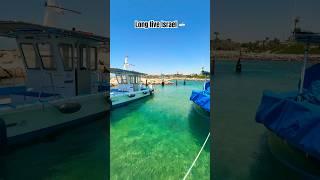 Israel stands strong  in the midst of the war ️‍  #beach #mediterranean  #israel