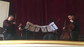 Solartis Quartet - Antonin Dvorak Quartet op. 96 no.12 "American" - 1st mov