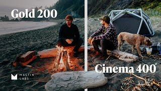 Dull or Dynamic: A Film Preset Comparison of Gold 200 and Cinema 400