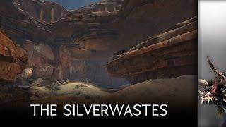 The Silverwastes