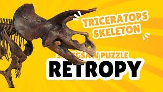 Retropy Game Play: 3D Puzzle Fun on Meta Quest & Steam - Triceratops Skeleton (2.5x Speed)