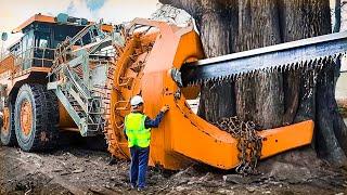 Extreme Dangerous Fastest Big Chainsaw Cutting Tree Machines | Monster Stump Removal Excavator #36