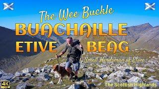 BUACHAILLE ETIVE BEAG (The Wee Buckle) Small Herdsman of Etive, The Scottish Highlands 󠁧󠁢󠁳󠁣󠁴󠁿