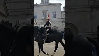 King's guards horses #king #guards #horse #london #india #ytshots @vichethediamonds#