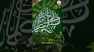 Nadeem Sarwar Qasida satus #nadeemsarwar #nadeemsawar #azadarikotqasim