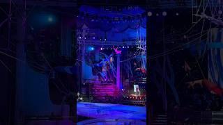 Flying Trapeze.Three parallel#flyingtrapeze #circus #short #extreme #рекомендации #gymnast #рек