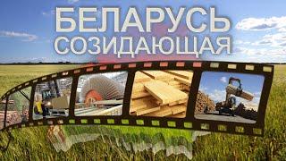 Деревообработка в Беларуси: как развивались предприятия и что с ними было до визита Президента?