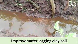 How to improve waterlogged clay soil : How to improve water drainage in clay soil