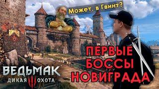 НОВИГРАДСКАЯ ШКОЛА ГВИНТА / Jeens играет в The Witcher 3: Wild Hunt