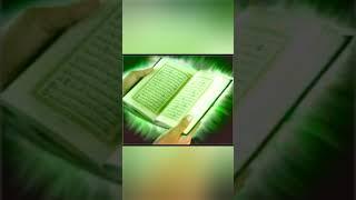 Rüyada Kuran'ı Kerim Görmek