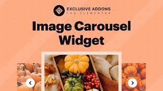 Learn How to Configure & Style Image Carousel for Elementor Page Builder