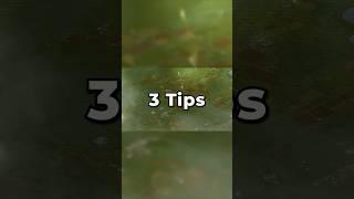 3 Quick Tips for Project Zomboid Beginners!