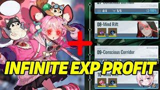 ZERO STABILITY INFINITE EXP Farm Trick!? 【Etheria: Restart】