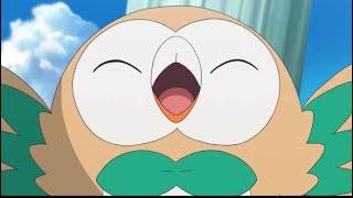 Rowlet being Rowlet