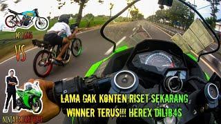 NINJA 250FI  MP