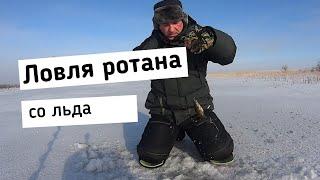 Ловля ротана со льда  Первый опыт