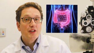 Gut bacteria in the retina