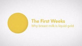 The First Weeks: Why Breast Milk is Liquid Gold