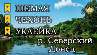  р. Северский Донец  Шемая черноморская  Чехонь  Уклейка  Русская рыбалка 4 