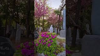 Храм Мёнпопса, Пёнтек