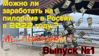 Бизнес в России! Можно ли заработать на пилораме в 2022 году?