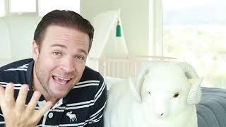 BEST WOOL BEDDING in AMERICA USA by Sleep & Beyond
