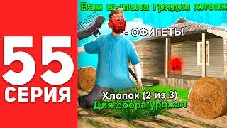 ПУТЬ БОМЖА в САМП #55 - ВЫБИЛ ГРЯДКУ ЗА 40КК НА АРИЗОНА РП!