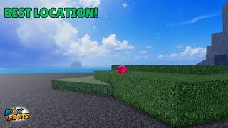 BEST LOCATION TO FIND BERRIES IN Blox Fruits | Update 24