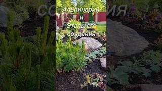 Альпинарий и этапы его создания