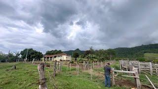 Parte 02-descascando mandioca para comer com linguiça de porco caipira no alto da Serra…