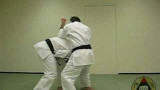 Okinawa Shorin-ryu Karate: Assorted Kata Bunkai (clip 1)