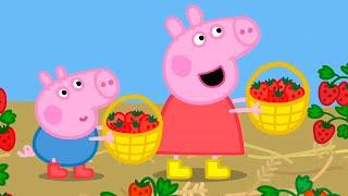 PEPPA PIG Full Episodes New 2022 in Ukrainian version | Season 6 episodes