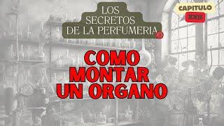 Como se monta un organo olfativo - Los secretos de la perfumeria - CAP 22