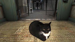 Maxwell Cat in Gmod