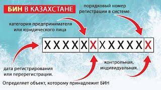 Что такое БИН в Казахстане. Для чего нужен и расшифровка