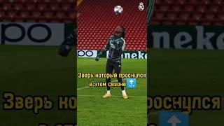 Зверь который проснулся в этом сезоне 