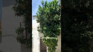 Раньше и поверить не мог