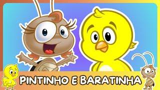 Dona baratinha e Pintinho Amarelinho | Música para Crianças | Desenho para Crianças | Caio e Carol