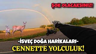 DÜNYANIN EN İYİ MOTOVLOG VİDEOSU!  | HUZUR VE MUTLULUK 