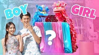 Lion Dance Gender Reveal | It's a... 